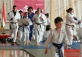 Judo JH 11.jpg